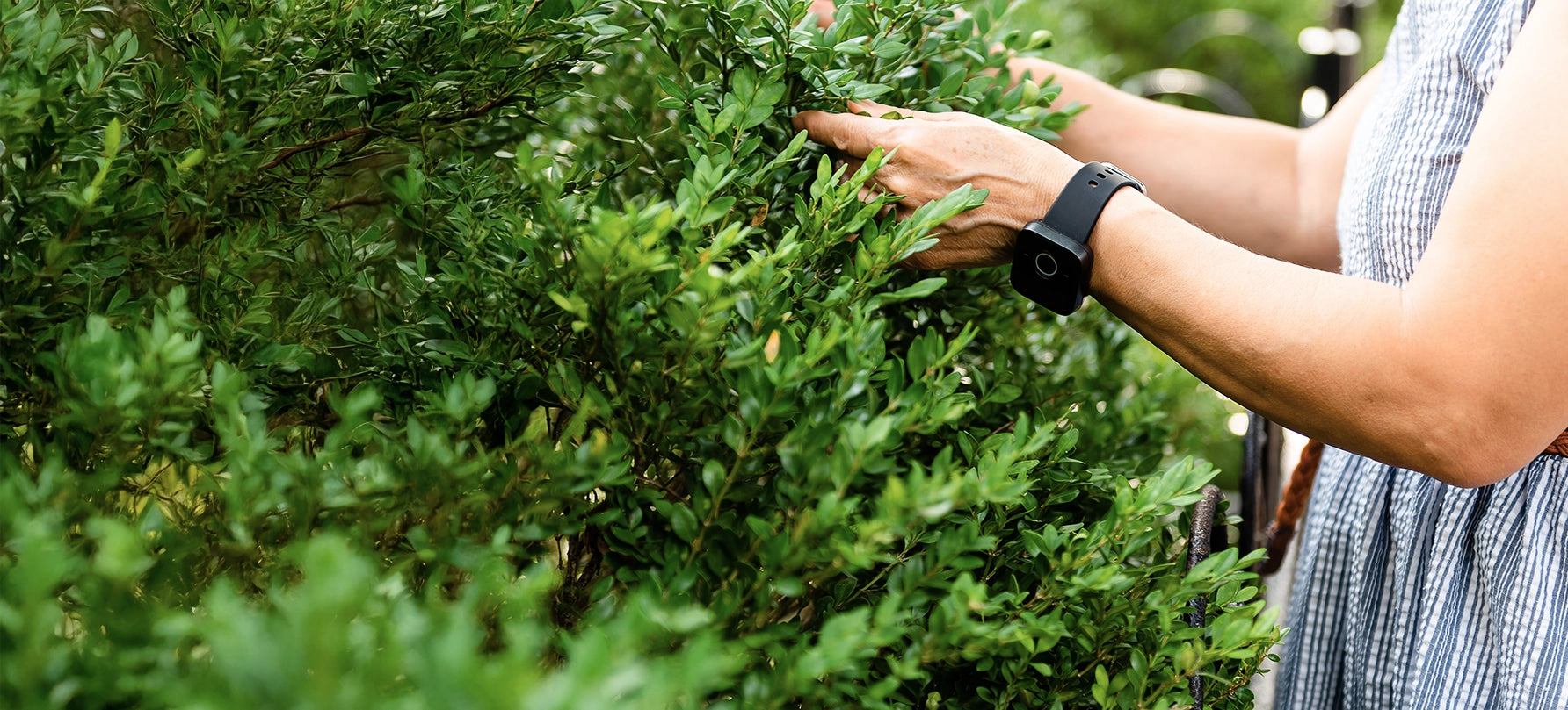 Person working on landscaping with Belle W watch on their wrist. 